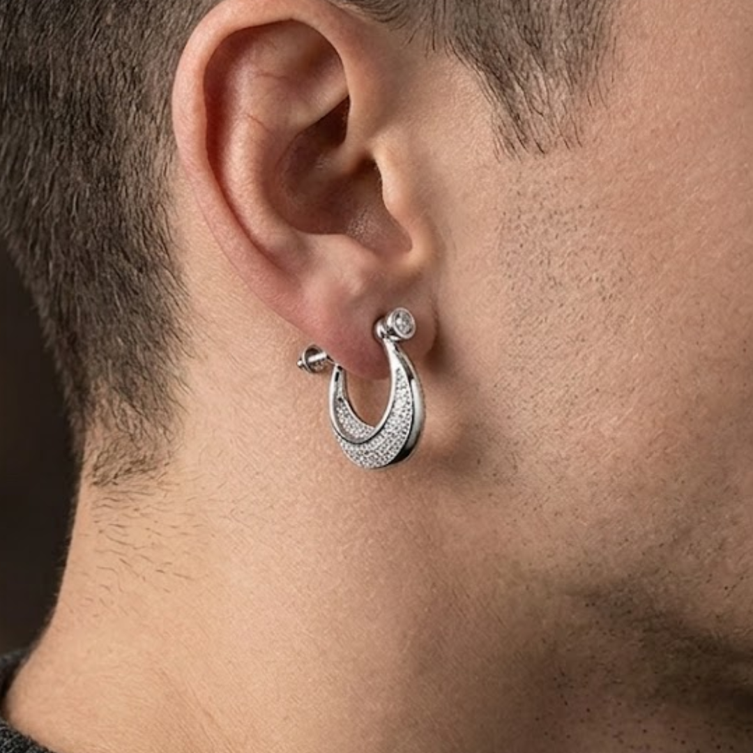 Crystal Curve Hoop Earrings